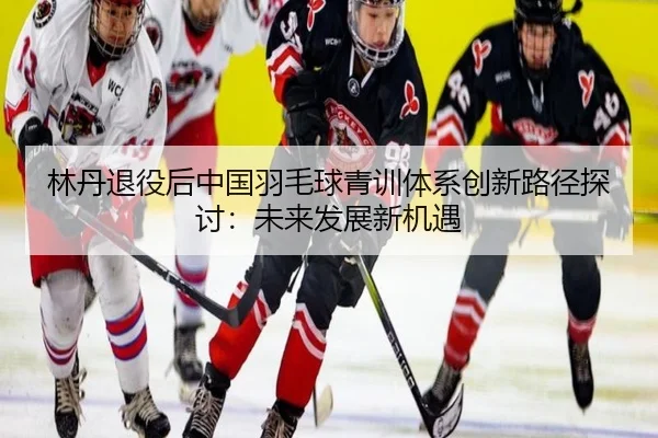 林丹退役后中国羽毛球青训体系创新路径探讨：未来发展新机遇