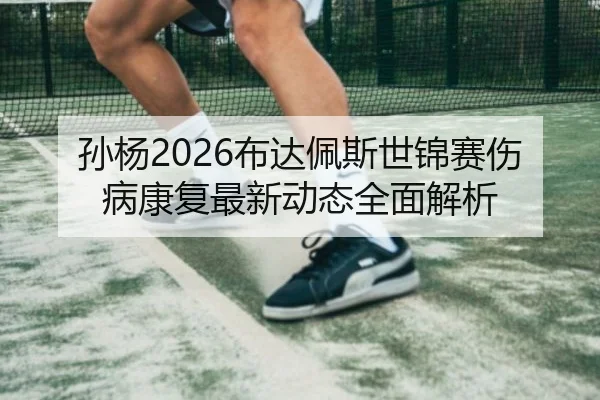 孙杨2026布达佩斯世锦赛伤病康复最新动态全面解析