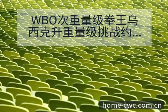 WBO次重量级拳王乌西克升重量级挑战约书亚签表分析与排名 - 世界杯