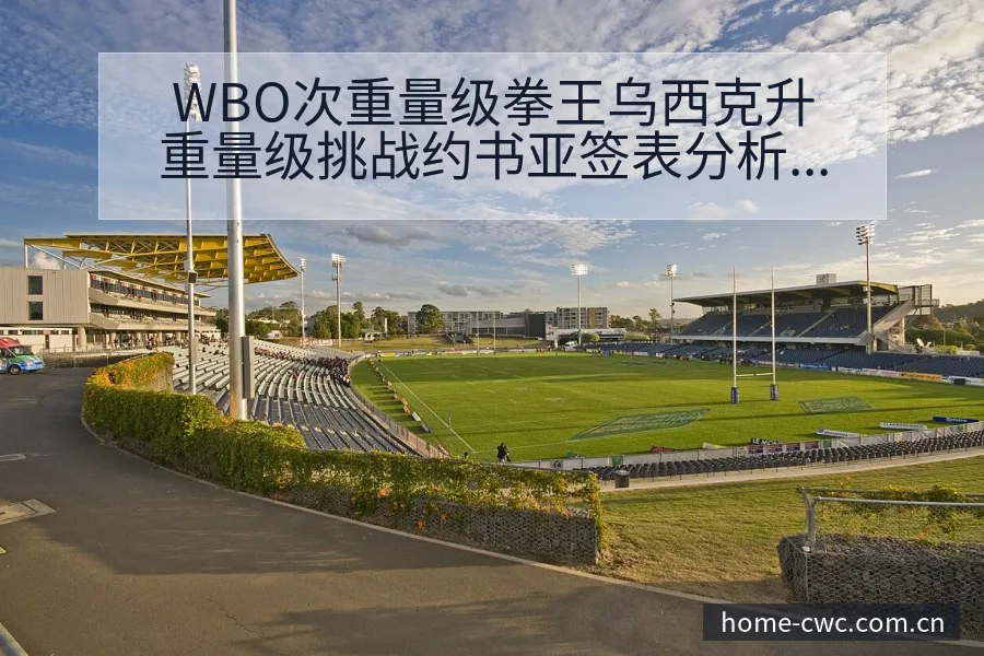 WBO次重量级拳王乌西克升重量级挑战约书亚签表分析与排名 - 世界杯